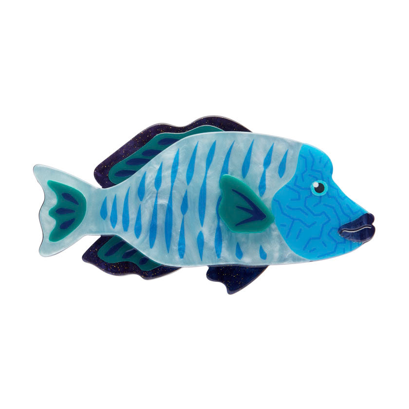 Maori Wrasse Brooch