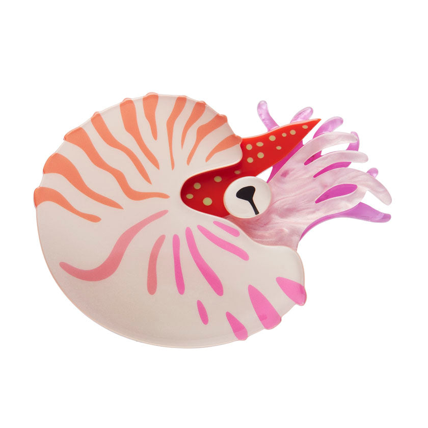 Chambered Nautilus Brooch