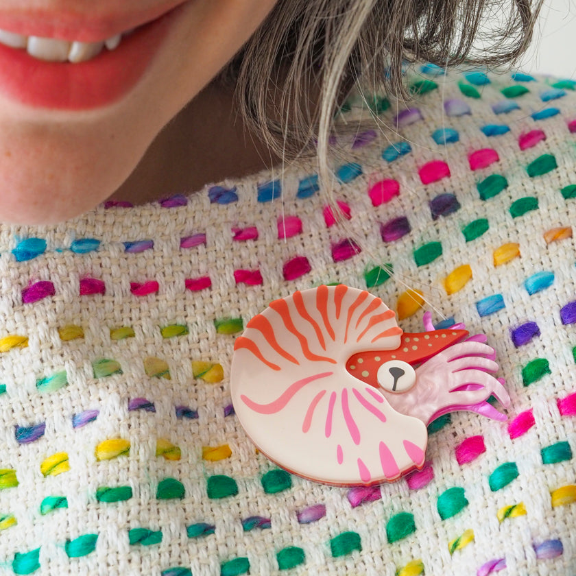 Chambered Nautilus Brooch