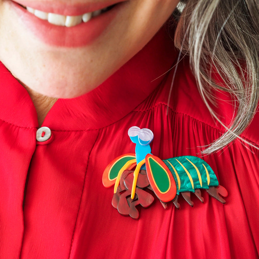 Peacock Mantis Shrimp Brooch